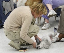 Rose Lesniak Dog Training a Puppy in Miami Florida